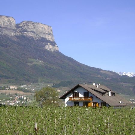 Appartements Weisshauserhof Appiano Sulla Strada Del Vino Zewnętrze zdjęcie