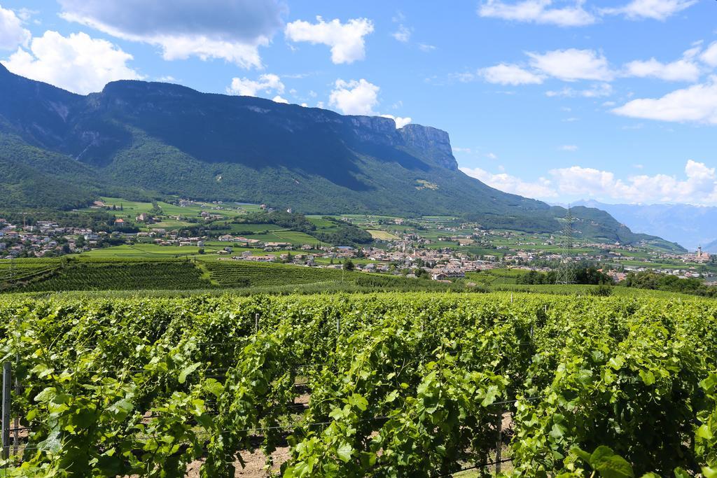 Appartements Weisshauserhof Appiano Sulla Strada Del Vino Zewnętrze zdjęcie